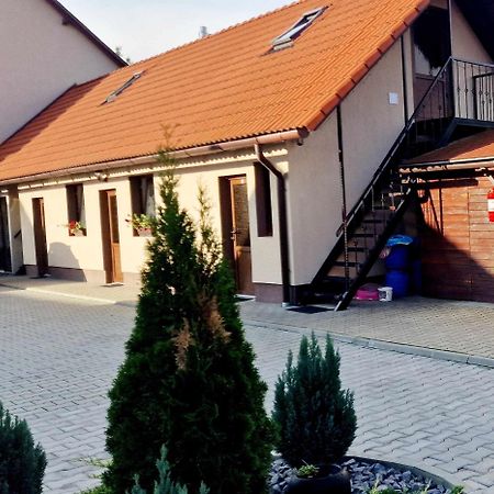 Farkaslaki Panorama Vendeghaz Otel Lupeni  Dış mekan fotoğraf