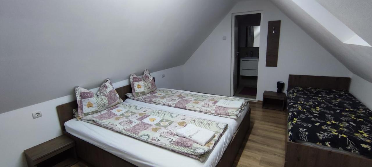 Farkaslaki Panorama Vendeghaz Otel Lupeni  Dış mekan fotoğraf