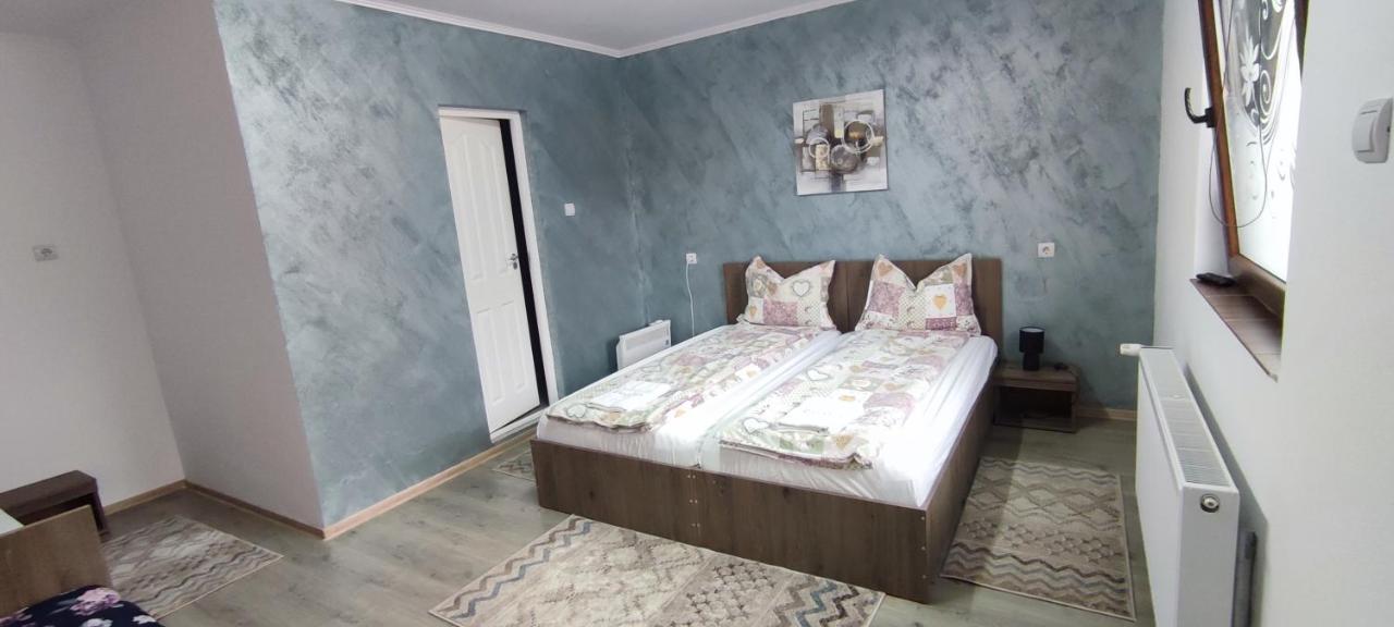 Farkaslaki Panorama Vendeghaz Otel Lupeni  Dış mekan fotoğraf