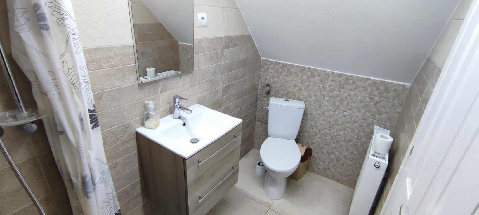 Farkaslaki Panorama Vendeghaz Otel Lupeni  Dış mekan fotoğraf